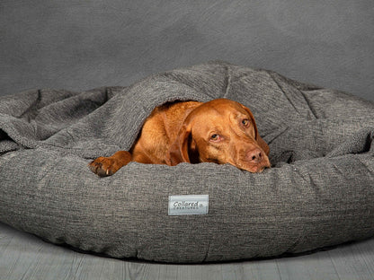 grey hooded dog calming bed