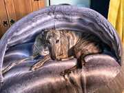 grey-luxury-faux-fur-dog-cave-bed