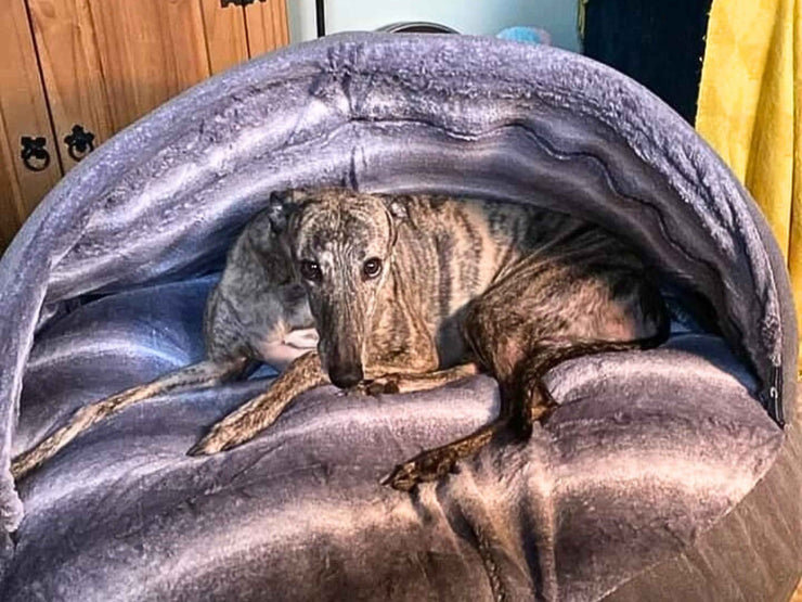 grey-luxury-faux-fur-dog-cave-bed