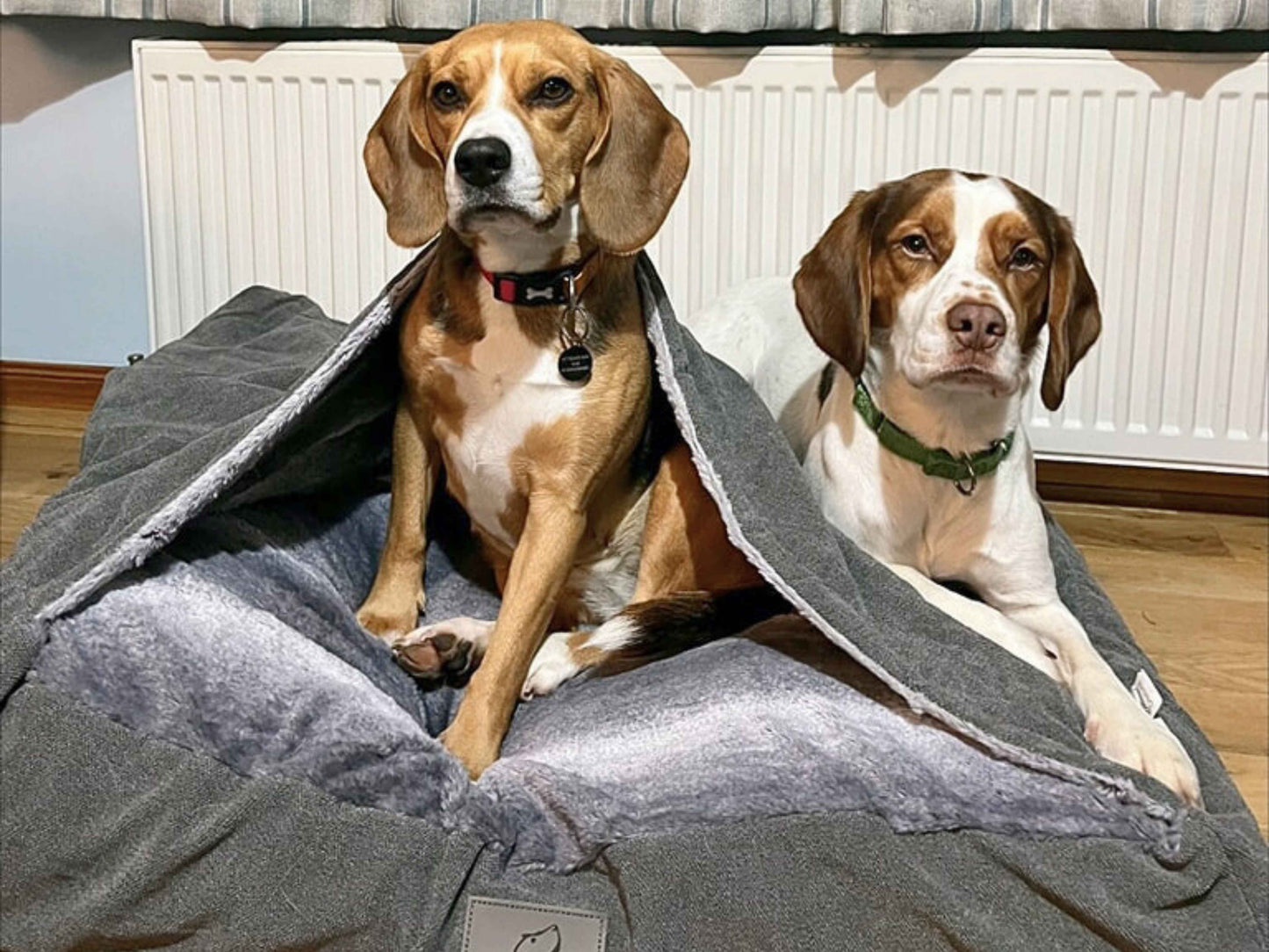 Two medium dogs sitting in a grey hooded snuggle dog bed by Collared Creatures