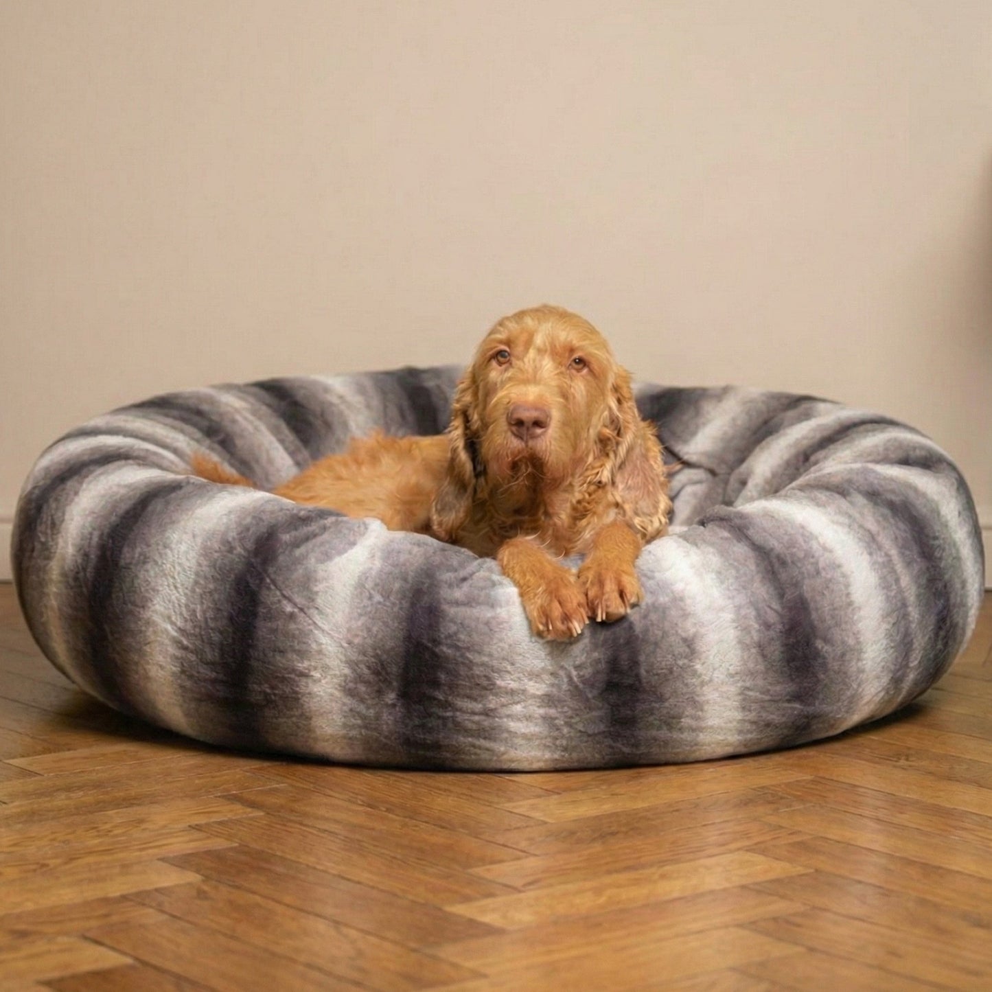 Best Dog Bed for Anxiety Calming Effect: Top Picks for 2024