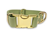 Guacamole Biothane clasp collar – water-repellent, odour-free, and built for muddy adventures – by Collared Creatures