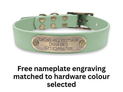 green collar with engraved brass nameplate on white background