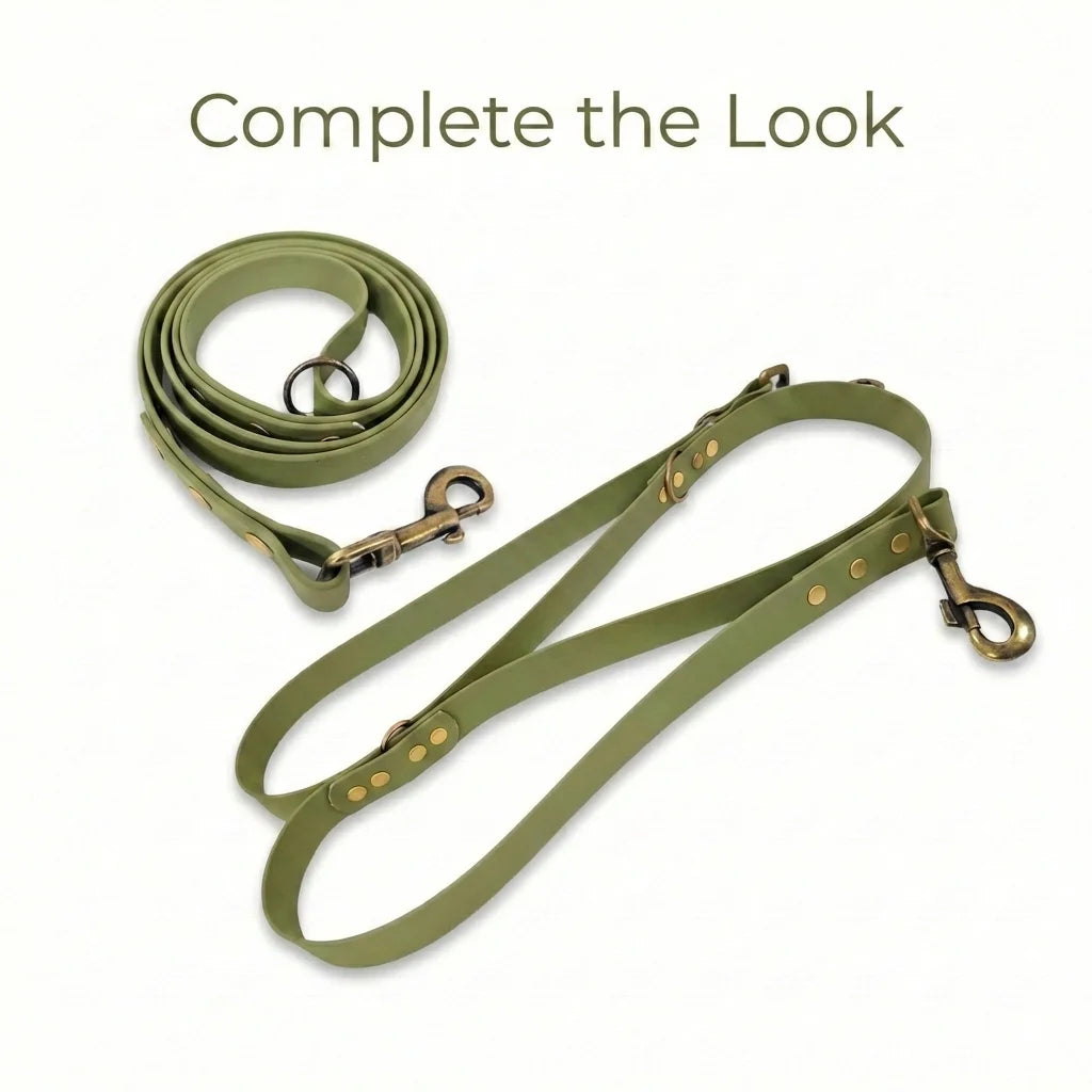 Collared Creatures Guacamole Green Waterproof Biothane Dog Collar – Handmade UK – Collared ...