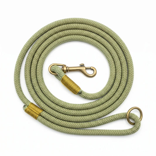 An olive green braided rope dog leash with brass-colored hardware, including a swivel snap hook and a D-ring, coiled on a white background.