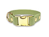 Guacamole Green Small Breed Waterproof Biothane Dog Collar 21cm to 28cm Neck