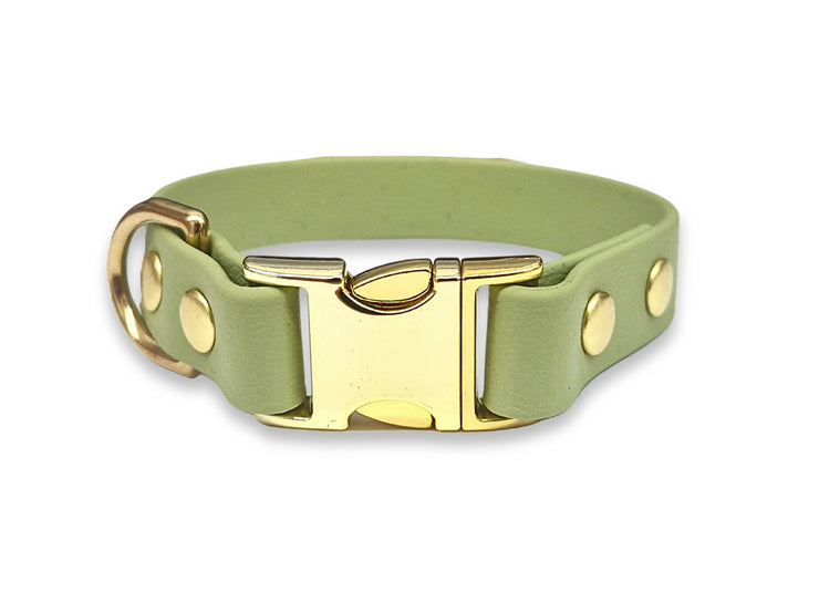 Guacamole green Biothane dog collar for small breeds – waterproof, wipe-clean, and lightweight