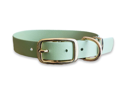 Adjustable Biothane buckle dog collar in Guacamole Green – waterproof and easy to clean – by Collared Creatures
