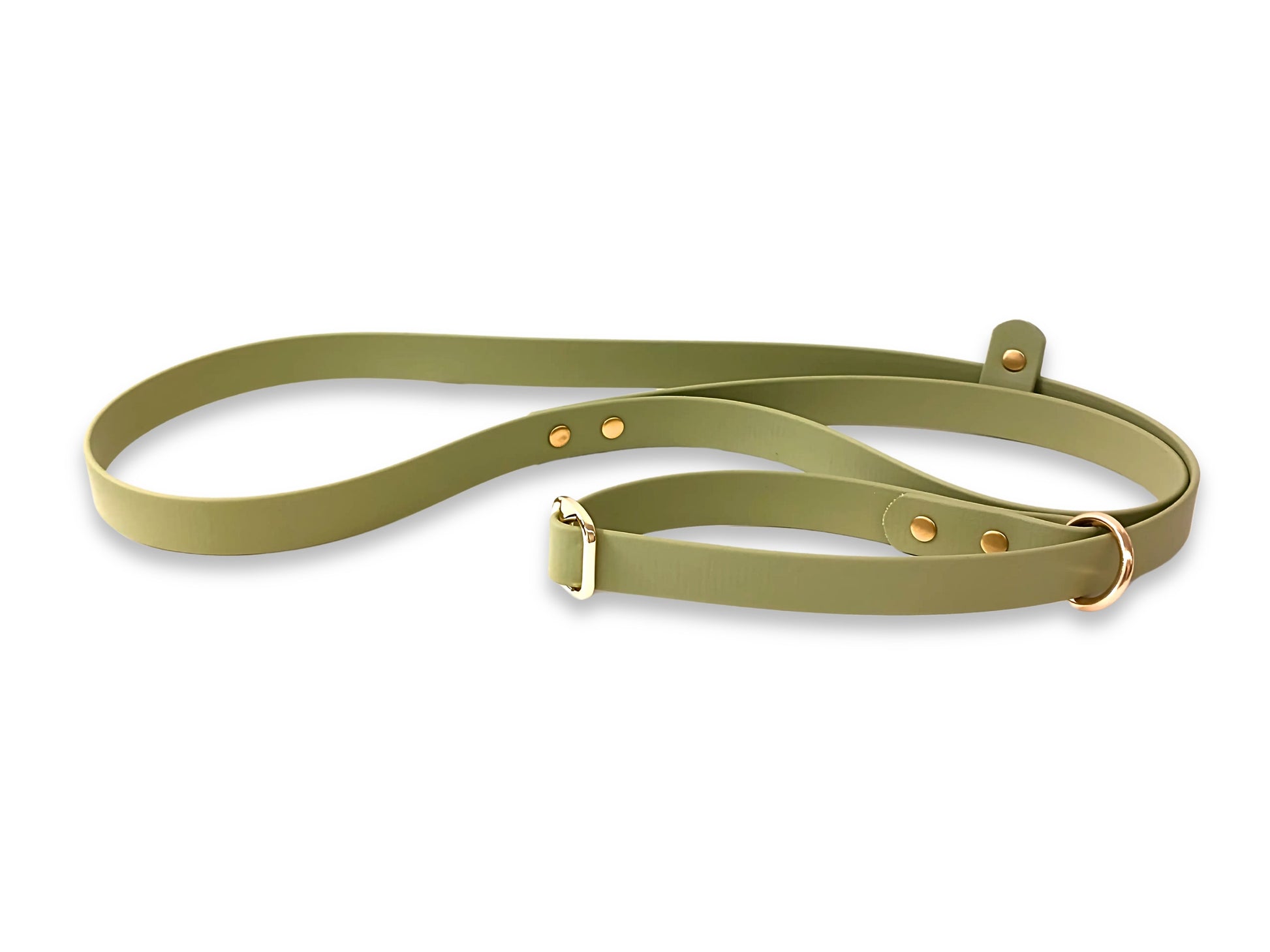 Guacamole waterproof Biothane dog slip lead, long-lasting and eco-friendly design