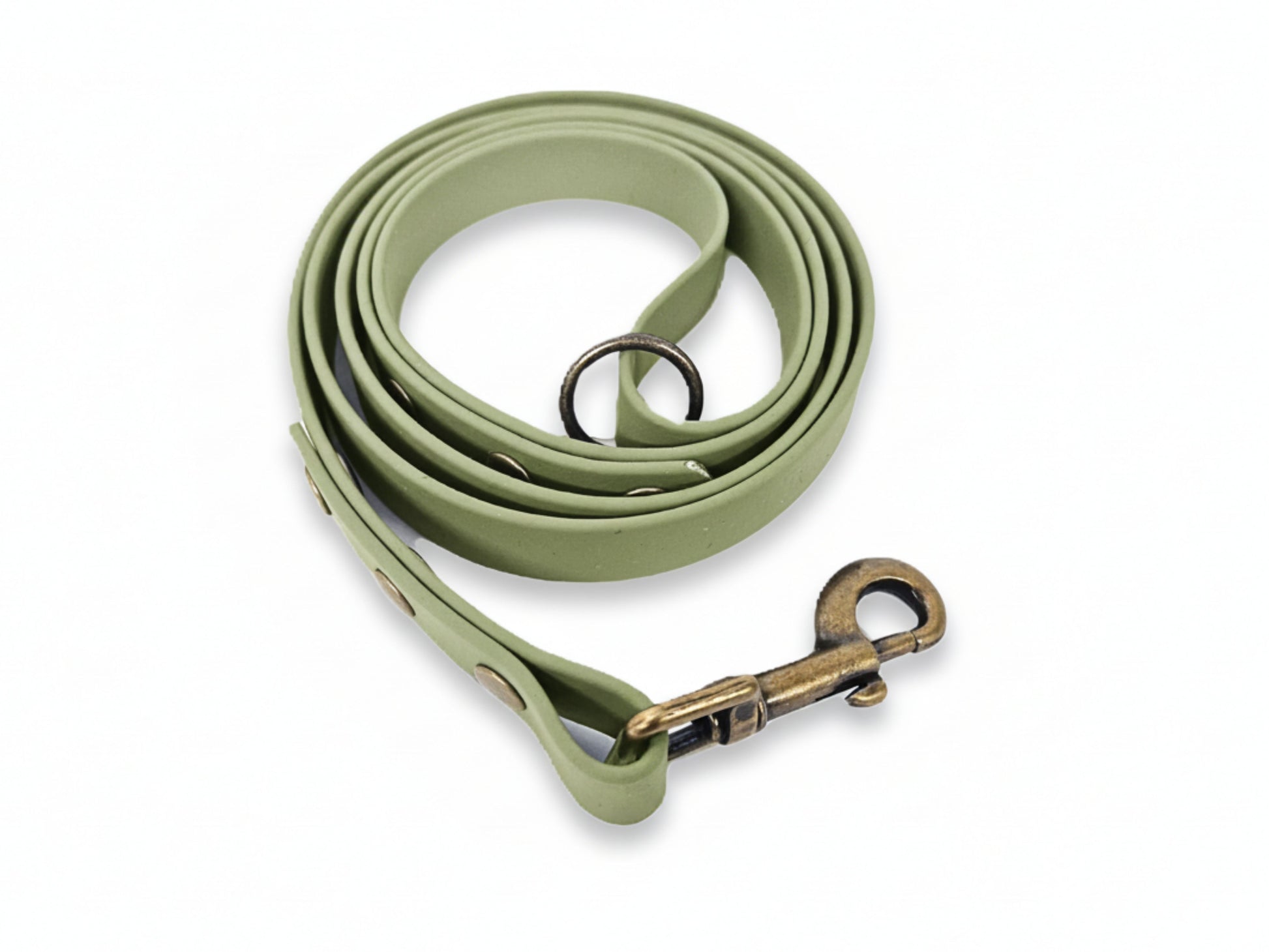 Guacamole Green Dog Clip Lead – Colourful Waterproof Leash for Walks