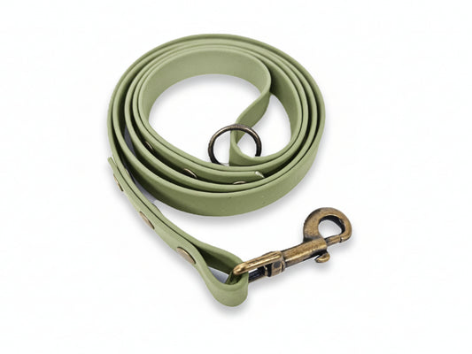 Guacamole Green Dog Clip Lead – Colourful Waterproof Leash for Walks