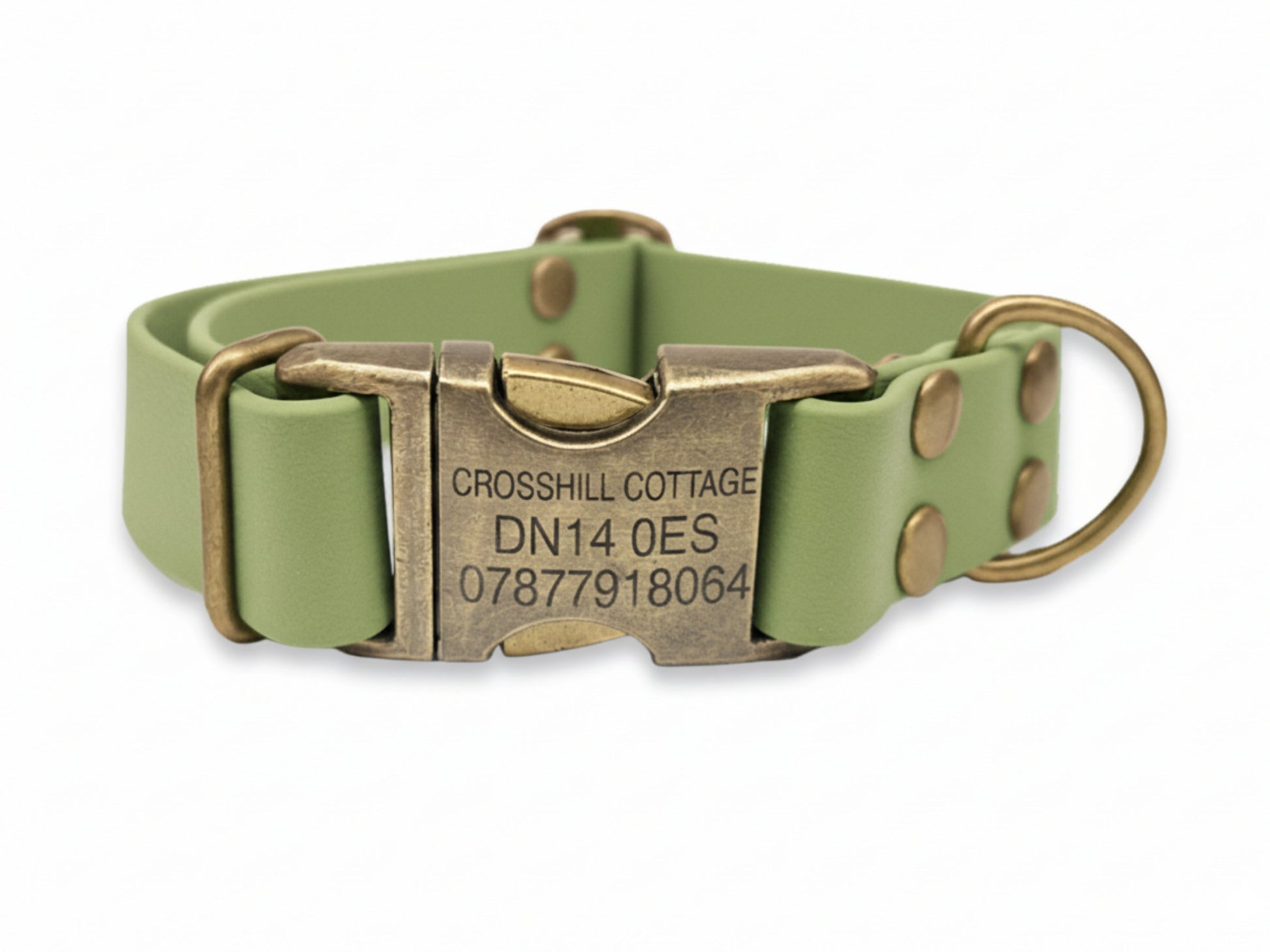 Green dog collar with a bronze buckle on a white background