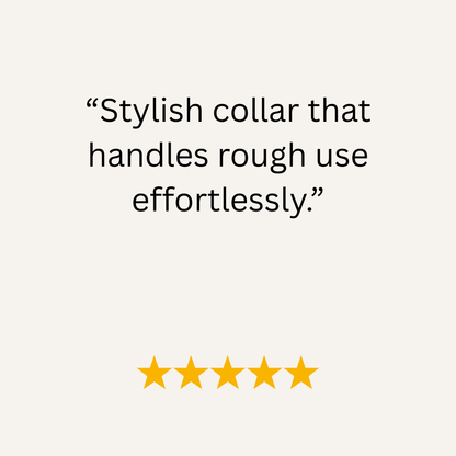 Text on a white background describing a stylish collar with five yellow stars below.