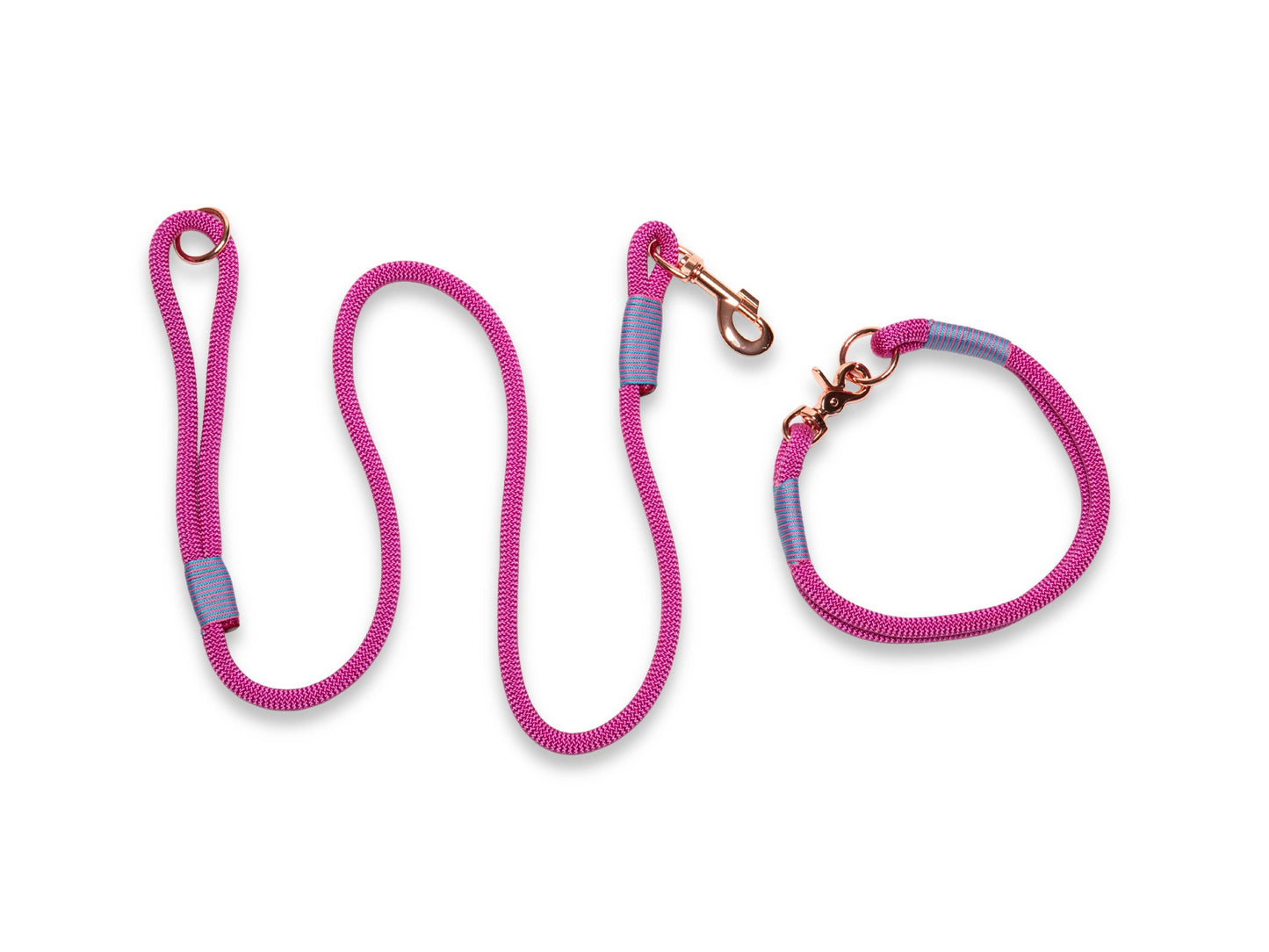 Pink dog leash and collar set on a white background