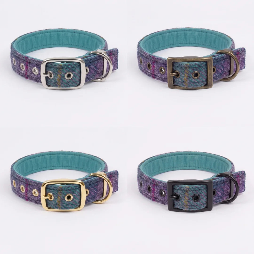Four dog collars arranged in a 2x2 grid on a white background. Each collar has a textured blue and purple patterned exterior, a teal interior, and a different buckle color: silver, bronze, gold, and black.