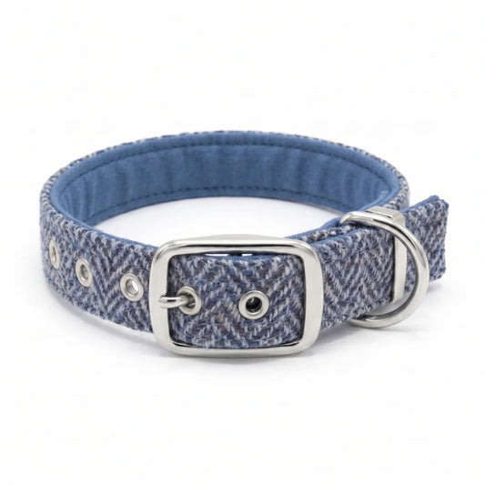 A blue and white herringbone patterned tweed dog collar with a silver metal buckle, D-ring, and eyelets, shown on a white background.