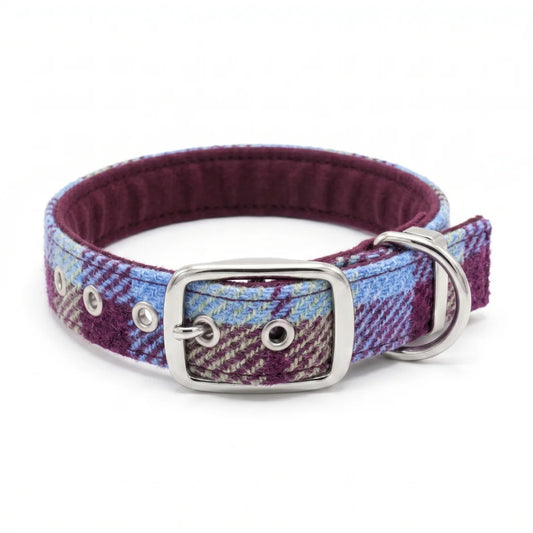 A woven fabric dog collar with a burgundy and light blue plaid pattern, featuring a silver metal buckle and D-ring, shown on a white background.