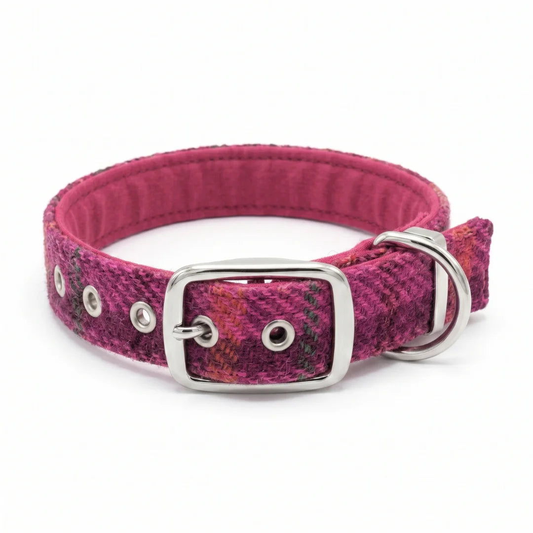 A pink and purple plaid dog collar with a silver metal buckle, D-ring, and eyelets, shown on a white background.