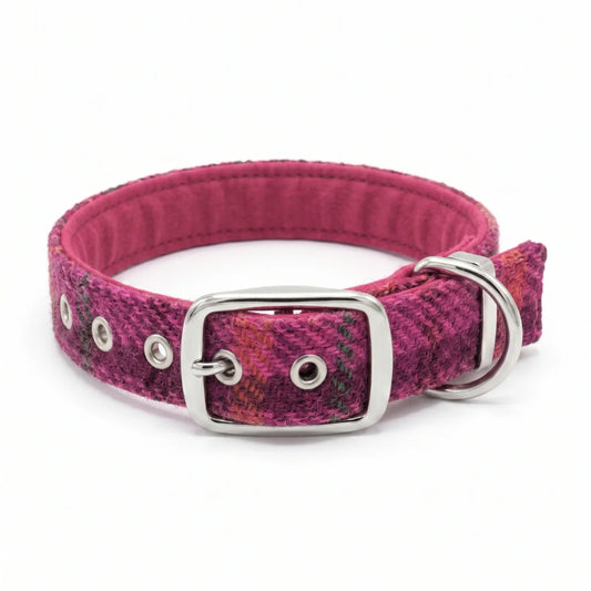 A pink and purple plaid dog collar with a silver metal buckle, D-ring, and eyelets, shown on a white background.