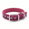 Cerise Check - Luxuriöses Hundehalsband aus Harris Tweed mit Schnallenverschluß