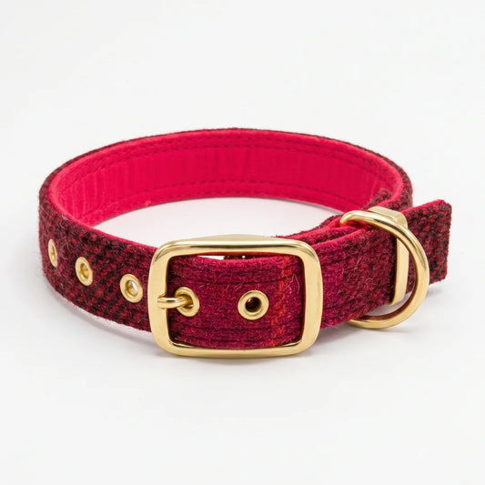 A red and black textured harris tweed dog collar with a gold buckle, D-ring, and metal eyelets, shown on a clean white background.