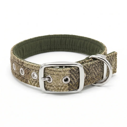 A dog collar with a harris tweed green block herringbone pattern, featuring a silver-tone metal buckle, D-ring, and eyelets, shown on a white background.