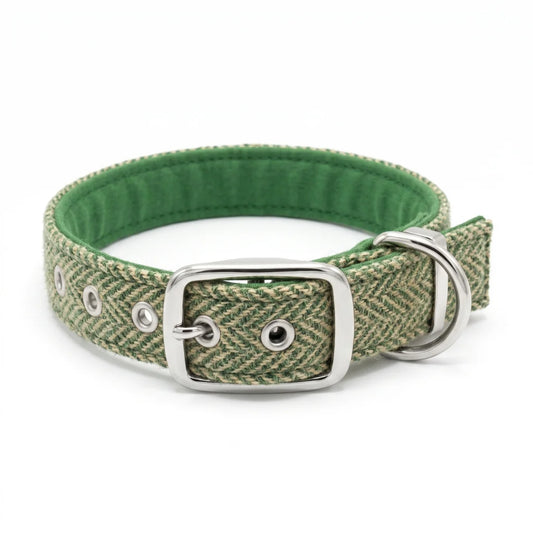 green herringbone harris tweed dog collar with silver buckle on white background