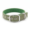 Grünes Fischgrätenmuster - Schnallenverschluss Luxury Harris Tweed Hundehalsband