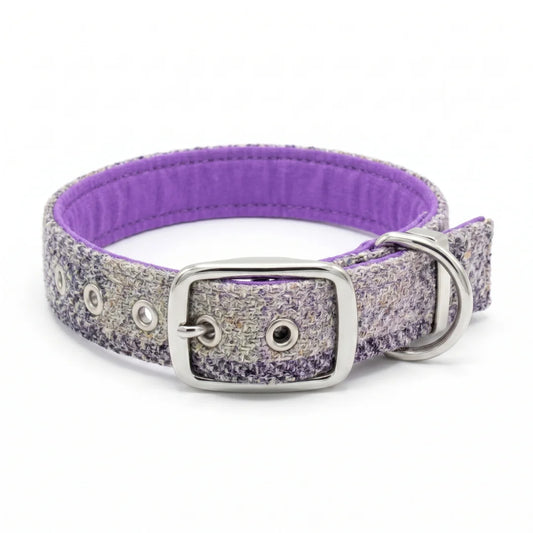 A purple check harris tweed dog collar with a purple cotton kona lining, silver buckle, and silver D-ring, shown on a white background.