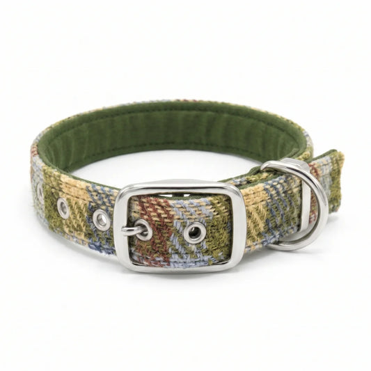 multicolour harris tweed dog collar with metal buckle on white bckground