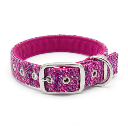 speckled pink harris tweed buckle dog collar on white background