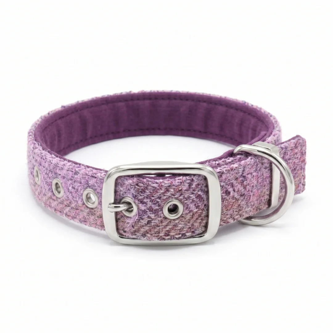 A purple and pink textured harris tweed dog collar with a silver buckle and metal hardware, shown on a plain white background.