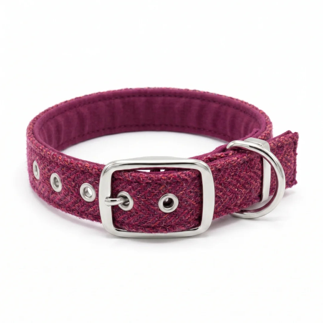 A textured raspberry and coral woven harris tweed dog collar with a silver-tone metal buckle, D-ring, and eyelets, shown on a clean white background.
