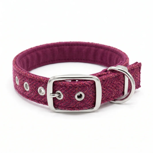 A textured raspberry and coral woven harris tweed dog collar with a silver-tone metal buckle, D-ring, and eyelets, shown on a clean white background.