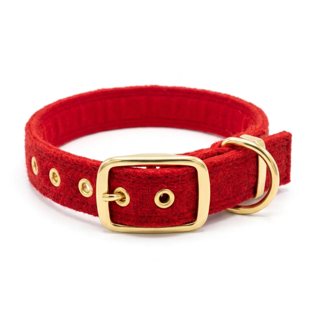 A red harris tweed dog collar with a polished gold buckle, D-ring, and eyelets, shown on a clean white background.
