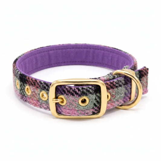 A dog collar with a purple and multicolor plaid pattern, featuring a purple padded interior, gold-tone metal hardware, and a matching purple buckle.