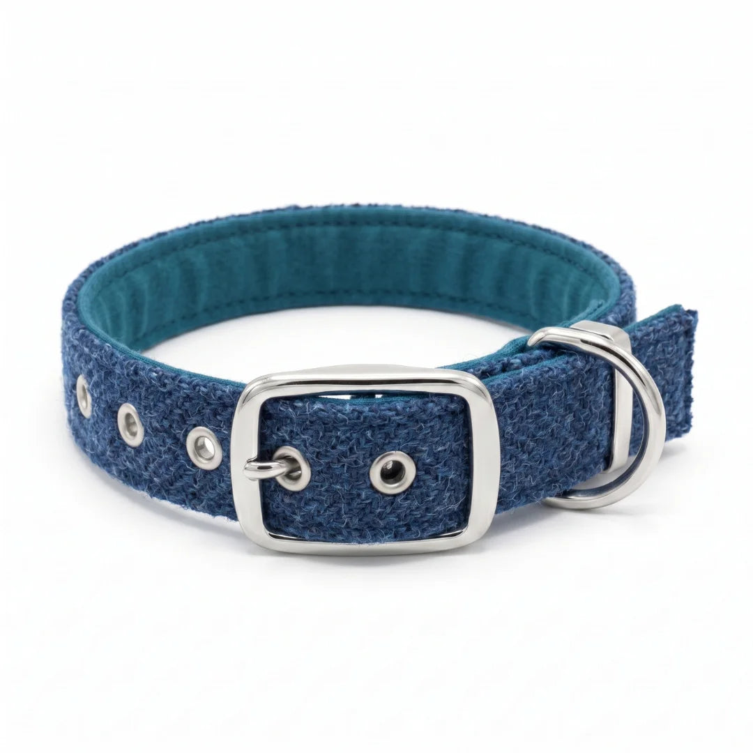 A blue textured harris tweed dog collar with a teal blue padded inner lining, silver-tone metal buckle, and D-ring, shown on a clean white background.