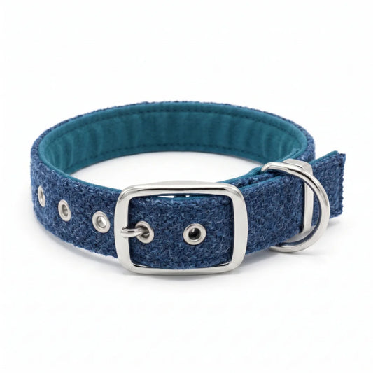 A blue textured harris tweed dog collar with a teal blue padded inner lining, silver-tone metal buckle, and D-ring, shown on a clean white background.