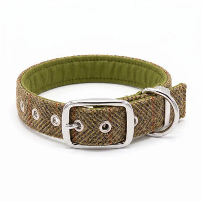 totally traditional harris tweed dog collar with silver buckle on white background