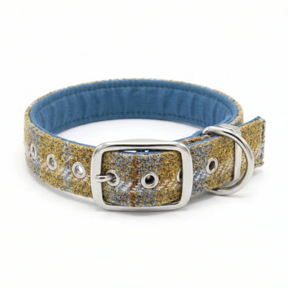 A textured woven tweed dog collar in a mustard, blue, and white pattern, featuring a silver-tone metal buckle, D-ring, and eyelets, with a blue fabric lining.