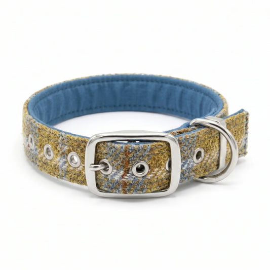 A textured woven tweed dog collar in a mustard, blue, and white pattern, featuring a silver-tone metal buckle, D-ring, and eyelets, with a blue fabric lining.