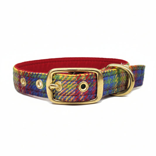 Heritage Rainbow - Buckle Fastening Luxury Tweed Dog Collar