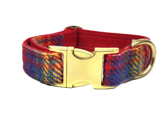 Heritage Riainbow check Tweed Dog Collar/collared creatures