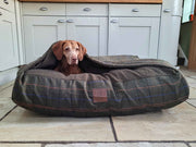 Dog peeking out from under the hood of a Green Tweed Snuggle Bed in a cosy kitchen - Collared Creatures