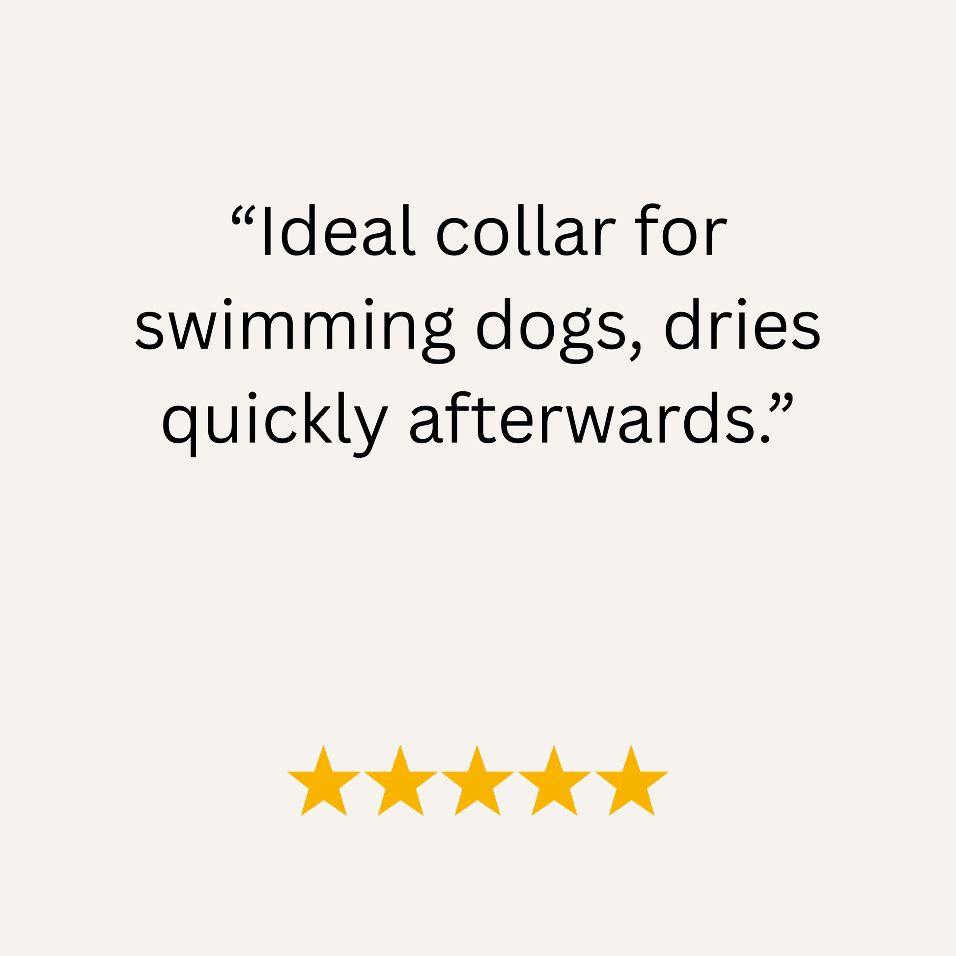 Olive Waterproof Biothane Buckle Dog Collar - Collared Creatures LTD