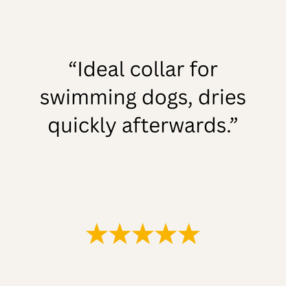 Olive Waterproof Biothane Buckle Dog Collar - Collared Creatures LTD