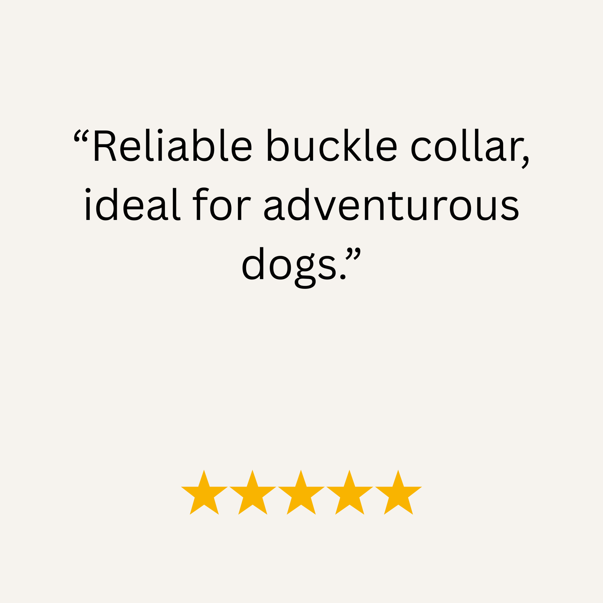 Teal & Coral Multicolour Waterproof Biothane Buckle Dog Collar - Collared Creatures LTD