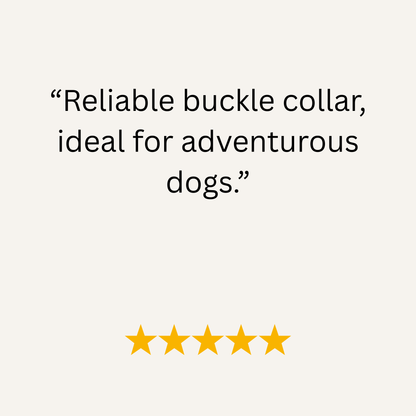 Teal & Coral Multicolour Waterproof Biothane Buckle Dog Collar - Collared Creatures LTD