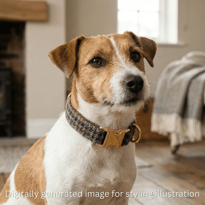 Autumn Houndstooth Luxury Harris Tweed Dog Collar - Collared Creatures LTD