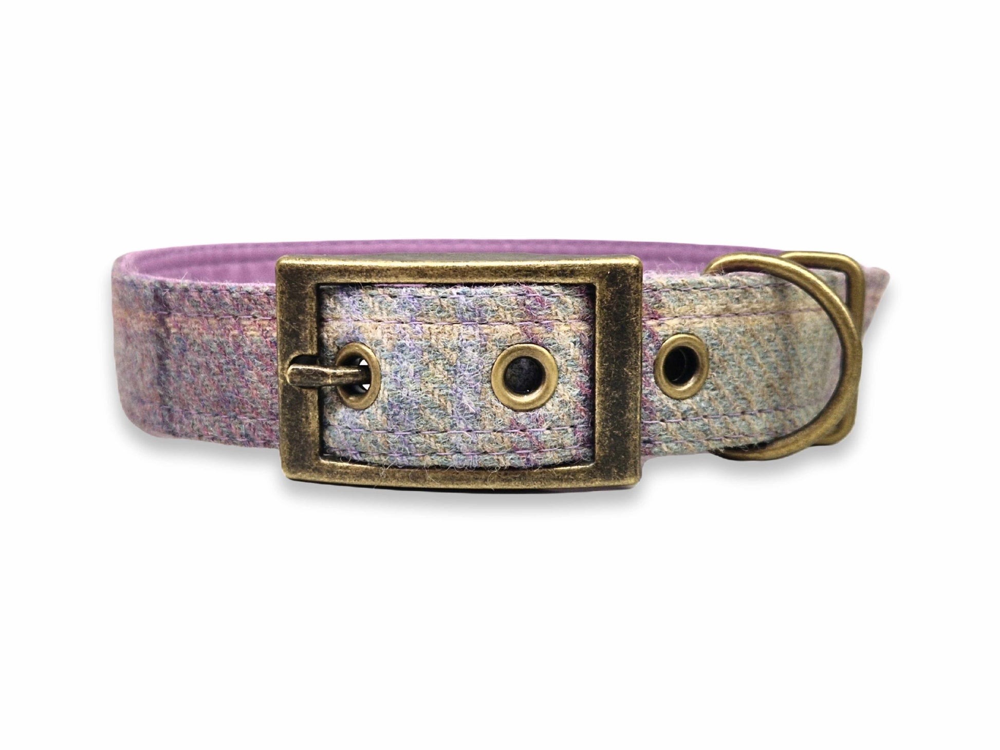 Dog collar with a purple and gray patterned strap and brass buckle on a white background
